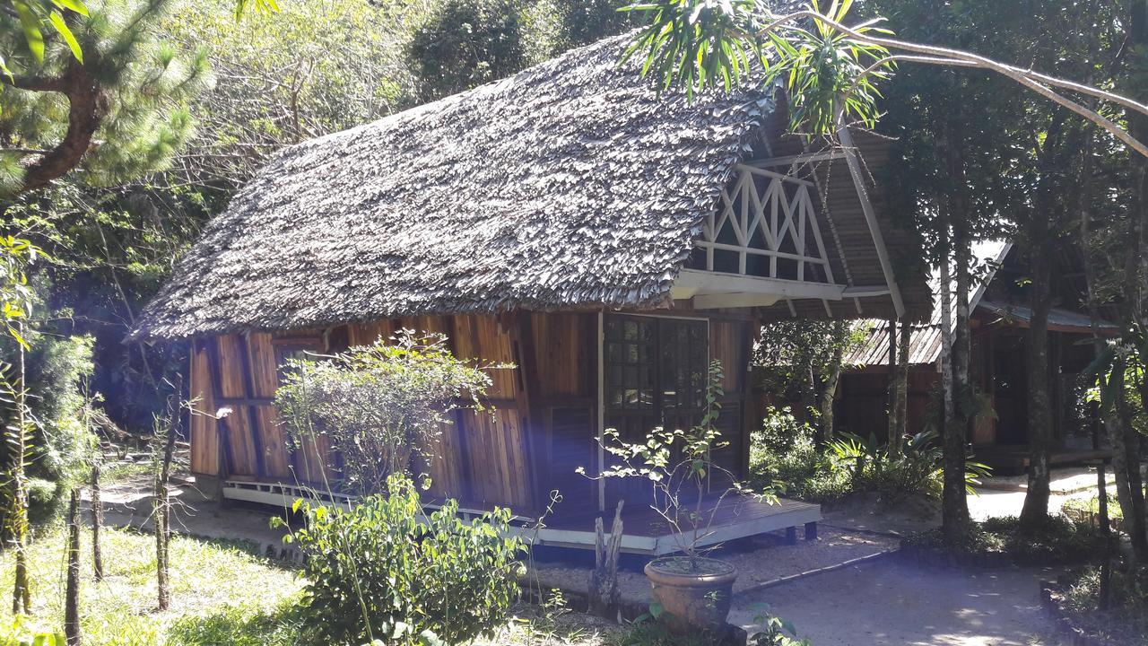 Les Acacias Bungalows Manambolo المظهر الخارجي الصورة